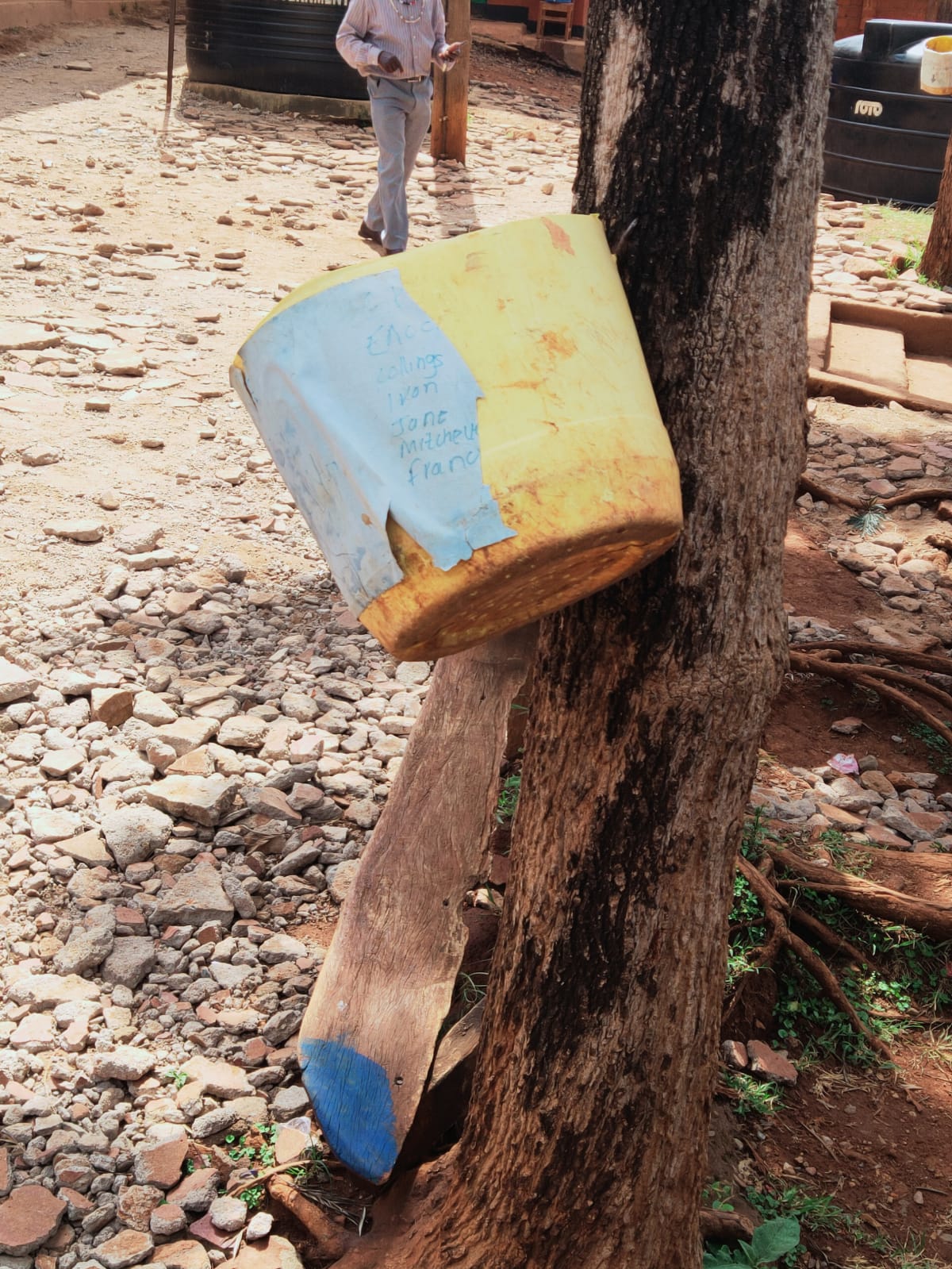 Improvised dustbin hanging from a tree beside the school building