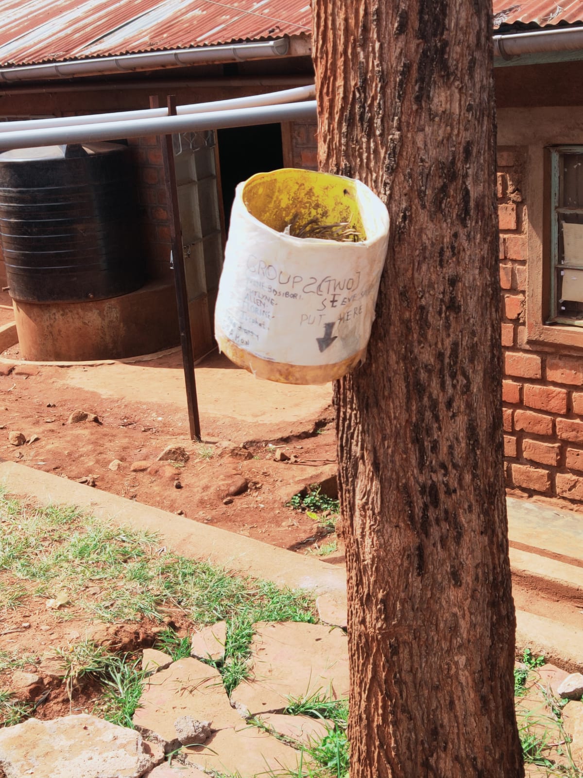 Worn yellow and white container tied to a tree as a dustbin